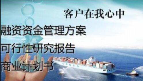 项目申请报告