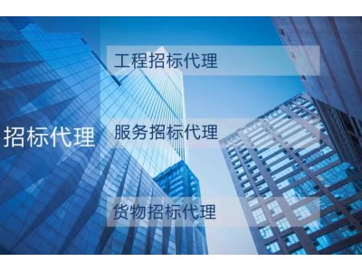 项目招标代理服务